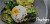 Poachies - Perfect Poached Eggs 4.jpg