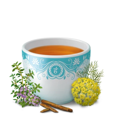 Yogi Tea Throat Comfort - Organic - 17 tea Bags 4.jpg