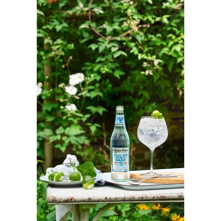 Fever-Tree Refreshingly Light Indian Tonic Water 500ml 2.jpg