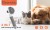 Cat &amp; Dog Self Cleaning Grooming Comb &amp; Brush 8.jpg