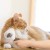 Cat &amp; Dog Self Cleaning Grooming Comb &amp; Brush 7.jpg
