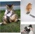 Cat &amp; Dog Self Cleaning Grooming Comb &amp; Brush 6.jpg