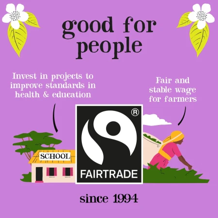 Clipper Organic &amp; Fairtrade Decaffeinated Green Tea 40 per pack 4.jpg