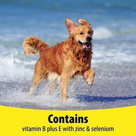 Vetzyme  Plus Dog Vitamins and Supplements, Contains B Plus E with Zinc &amp; Selenium 200 Tablets 6.jpg