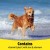 Vetzyme  Plus Dog Vitamins and Supplements, Contains B Plus E with Zinc &amp; Selenium 200 Tablets 6.jpg