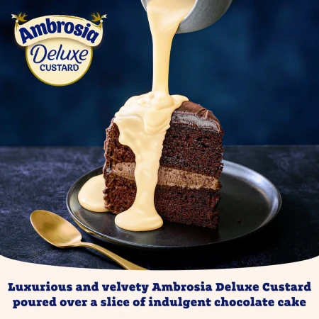 Ambrosia Deluxe West Country Cream Custard 750g 4.jpg