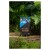 Cafedirect Fairtrade Decaf Machu Picchu Ground Coffee 227g 2.jpg