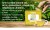 HANDPICK Lemon Ginger Tea Bags Made With Whole Leaves 100 Tea Bags 9.jpg