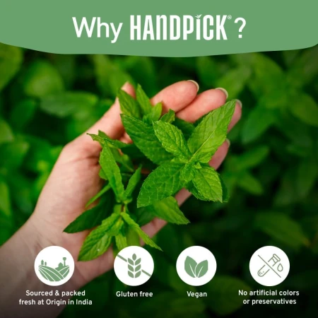 HANDPICK Lemon Ginger Tea Bags Made With Whole Leaves 100 Tea Bags 7.jpg