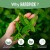 HANDPICK Lemon Ginger Tea Bags Made With Whole Leaves 100 Tea Bags 7.jpg