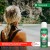 Jungle Formula Maximum Aerosol Insect Repellent 125ml 3.jpg