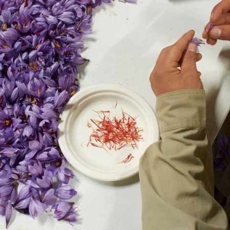 Belazu Category 1 Spanish Saffron 1g 2.jpg