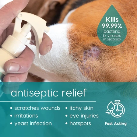 DEW Pet Wound Care Antiseptic &amp; Antifungal Spray for Itchy Dogs, Cats &amp; Animals All Types of Wounds 250ml 3.jpg