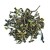 Darjeeling FTGFOP, 125g Loose Leaf Tin 3.jpg