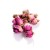 EAST INDIA COMPANY Rose Buds - Speciality Fne Herbal Loose Leaf Infusion 50g 4.jpg