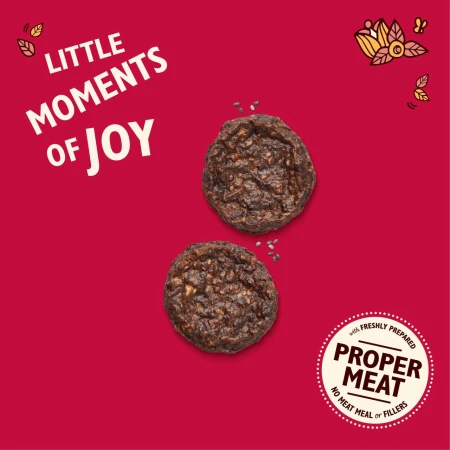 Lily's Kitchen The Best Ever Beef Mini Burgers for Dogs 70g 4.jpg
