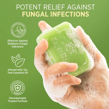 RoyceDerm Antifungal Antibacterial Tea Tree Soap 2.jpg