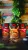 Kabuto_WokPots_All.webp