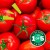 Dolmio Bolognese Onion &amp; Garlic Pasta Sauce 450g 3.jpg