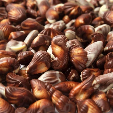 Guylian Seashells 500g 3.jpg