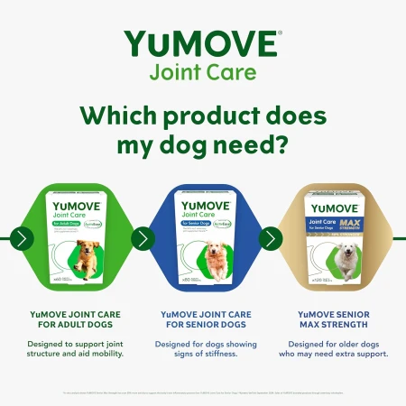 Lintbells , YuMOVE Dog , Essential Hip and Joint Supplement for Stiff Dogs ,60 Tablets 5.jpg