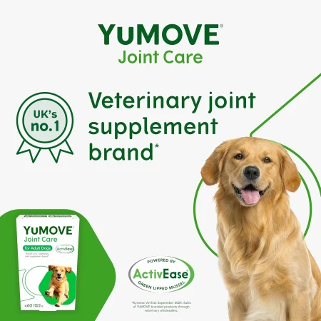 Lintbells , YuMOVE Dog , Essential Hip and Joint Supplement for Stiff Dogs ,60 Tablets 2.jpg