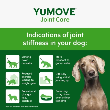 Lintbells , YuMOVE Dog , Essential Hip and Joint Supplement for Stiff Dogs ,60 Tablets 3.jpg