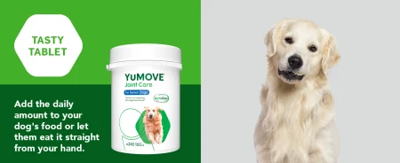 YuMOVE Higher Strength Hip & Joint Supplement with Green Lipped Mussel for Senior Dogs Aged 8+ 240 Tablets 11.jpg