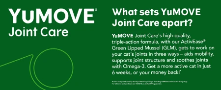 YuMOVE Higher Strength Hip & Joint Supplement with Green Lipped Mussel for Senior Dogs Aged 8+ 240 Tablets 10.jpg