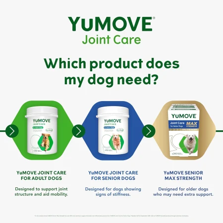 YuMOVE Higher Strength Hip & Joint Supplement with Green Lipped Mussel for Senior Dogs Aged 8+ 240 Tablets 7.jpg