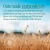Organic Barista Oat Drink 1L 5.webp