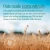 MOMA SUPER FOAMABLE Barista Dairy Free, Gluten-free, No Added Sugar Oats Drink 1L 5.webp