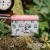 New English Teas Alice in Wonderland Tea Caddy in Pink with 40 English Afternoon Teabags 4.jpg