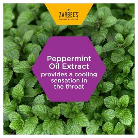 Zarbee's Cooling Throat and Immune Support Lozenge 6.webp