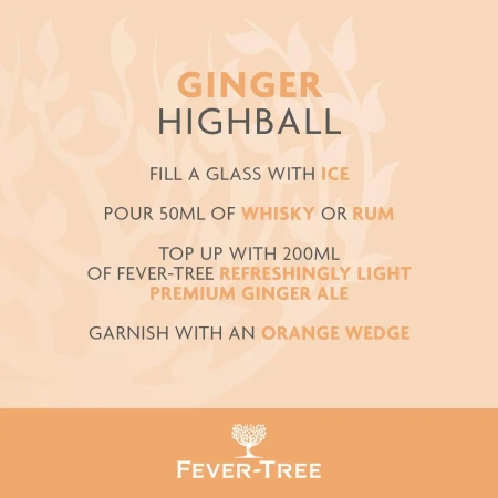 Fever-Tree Refreshingly Light Ginger Ale 500ml 4.webp
