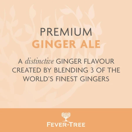 Fever-Tree Refreshingly Light Ginger Ale 500ml 3.webp