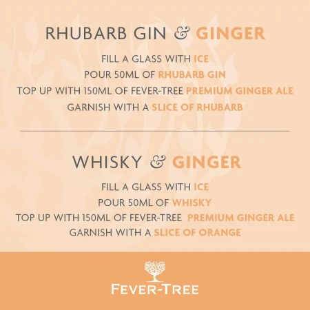 Fever-Tree Refreshingly Light Ginger Ale Cans 8 x 150ml 2.webp