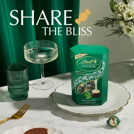 Lindt LINDOR Dark Mint Chocolate Truffles Box 4.webp