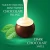 Lindt LINDOR Dark Mint Chocolate Truffles Box 200g 2.webp
