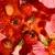 Lipton Fruit Tea Berry Bliss Tea Bags 3.webp