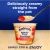 Ambrosia Ready to Eat Porridge Oat Cereal Pot Raspberry Layer 2.webp