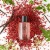 M&S Womens Discover Pink Pepper Eau de Toilette 30ml 2.webp