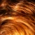 The Cornish Seaweed Bath Co Bio-Active, Natural, Seaweed & Herbal Super Nutrient Shampoo  250ml 6.webp