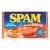 Spam Chopped Pork & Ham with Real Bacon 200g.jpg