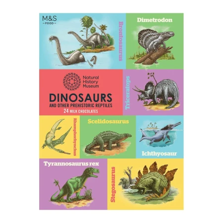 M&S Natural History Museum Dinosaur Advent Calendar 80g.webp
