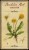 Fentimans Dandelion & Burdock 750ml 2 (1).jpg