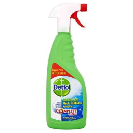 Dettol Mould & Mildew Remover Spray 750ml.jpg