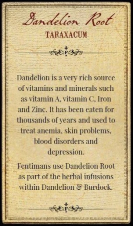 Fentimans Dandelion & Burdock 750ml 3 (1).jpg