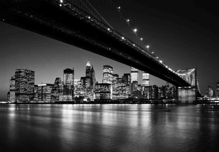 Manhattan at Night Skyline Wallpaper 368cm x 254cm.jpg