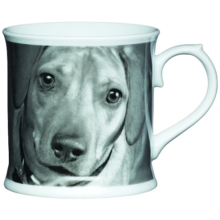 Kitchen Craft Porcelain Dachshund Tankard Shaped Mug 400ml.png